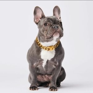Rich gold plated solid dog chain
